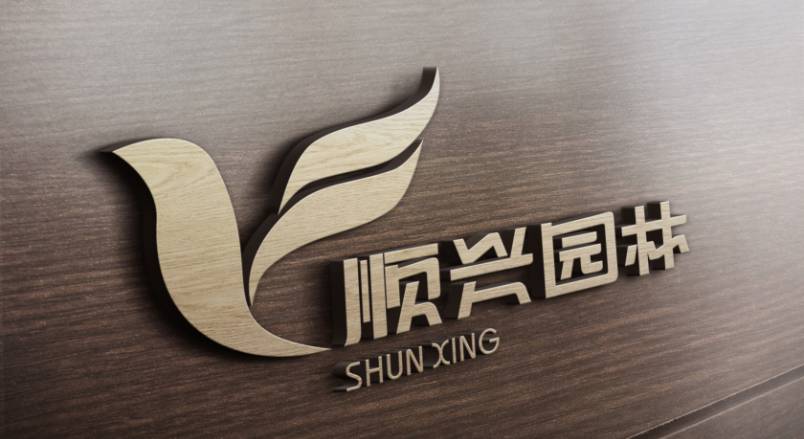 巴马VI设计公司：城市视觉形象的专业筑梦者